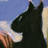 blackcat